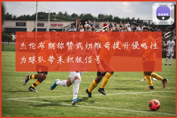 杰伦布朗称赞武切维奇提升侵略性为球队带来积极信号
